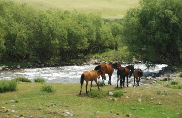 wyjazdy na quady Kirgistan