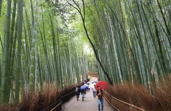 Japonia - wyprawa motocyklowa